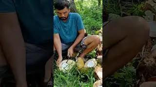 Farmers life 🧬#copra #coconut #shortvideo #shorts #short #agriculture #farming #fyp #share #viral