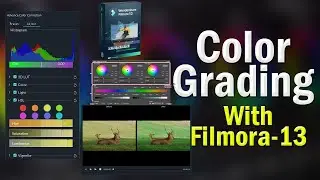 How To Get Cinematic Color Grading || ভিডিওতে সহজে কালার করুন  Filmora 13 দিয়ে