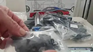 Team Associated DR10 kit unboxing
