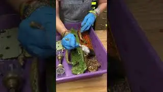 How to Remove Paint from Antique Hardware