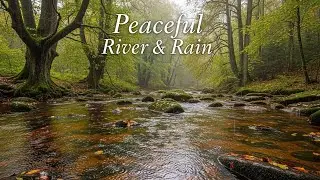 Relaxing Natural Rain Sounds with Quiet River Ambience for Mindfulness and Mental Relaxation