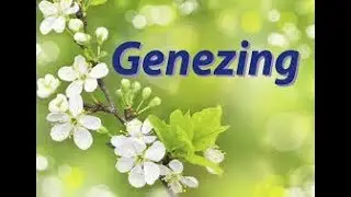 Genezing door de Heere Jezus.