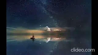 Crassa vibes