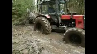 Belarus Mtz 892 in wet forest