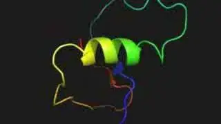 Protein folding simulation, from denatured to native state.