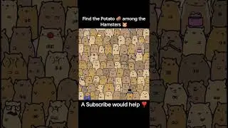 Find the Potato 🥔 #dailypuzzles #puzzles #trendingshorts #viralshorts #trending #viral #onepiece #iq