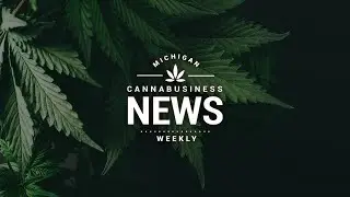 Hemp Pilot Program, Awaiting Temporary Cannabis Operator Court Decision