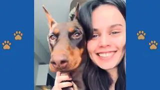 Мои родители думают, что я одна — подождите, пока они познакомятся с тайным защитником коричневог...