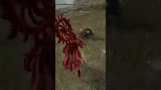 Ghiza's Wheel PVP #eldenring #eldenringpvp #soulsborne #darksouls #fromsoftware #eldenringdlc #xbox