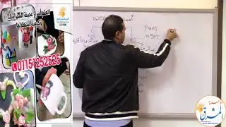 سلسلة تعلم عن بعد ... لهواة اللغة اللاتينية ... المستوى الأول ... شرح أسماء المجموعة الثانية