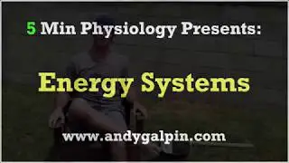 Energy Systems - How The Body Uses Fat, Carbs, & Protein For Fuel: 5 Min Phys