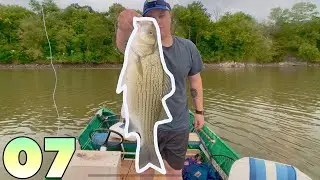 5 Different Species Caught On Cherokee Lake - Ep 7