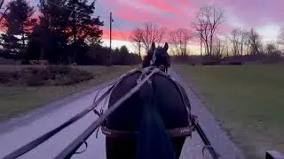 Mira, our Morgan horse, and a beautiful sunset!