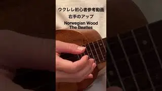 Norwegian Wood〜The Beatles〜右手のアップ #shorts #reference #ukulele #ukulelecover #beginner