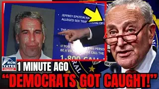 Democrats PANIC! Busted in Epstein HOAX to Cover Up $15,000,000 Lie about Trump!