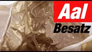Fischereiverein Weiden - Aal Besatz 2021