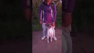 Dog Mountain adventure.