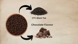 Teacurry Chocolate Chai for Blood Pressure and Cholesterol #justvedic #chocolatechai #immunity