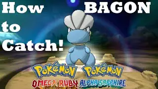 Как поймать/найти Багона в Метеоритных водопадах в Pokemon Omega Ruby and Alpha Sapphire!