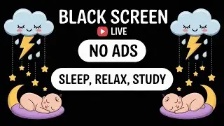 Insomnia Calming Rain Black Screen with Natural Thunder 3