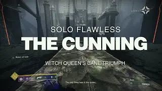 Solo Flawless Master The Cunning  (Platinum) - Witch Queen's Bane Triumph - Void Warlock + Outbreak