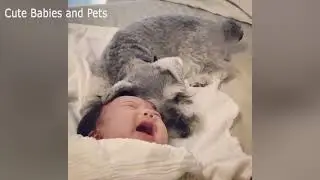 Adorable Dog Reaction to owner Crying 🙆&zwj;♂️🐶 Smart Dogs Videos