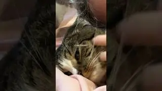 Особое утро после ночной смены на заводе 