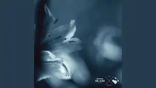 Far & Close (Original Mix)