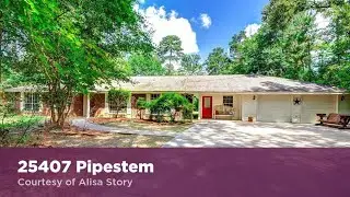 25407 Pipestem  Magnolia, Texas 77355 | Alisa Story | Top Real Estate Agent