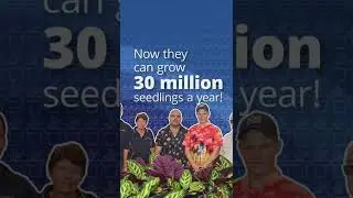 2B Advertising & Design Example SM Video - AusIndustry Flourish Plants