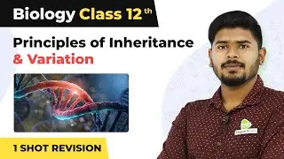 Principles of Inheritance and Variation Class 12 One Shot |Inheritance and Variation One Shot Boards