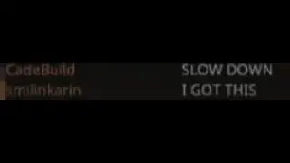 SLOW DOWN THE TRAIN