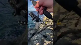 #fishing #lovinmalta #fish #ilovefishing #beach #fishing automobile