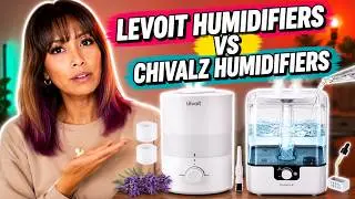 CHIVALZ vs LEVOIT Humidifiers &ndash; A Complete Comparison