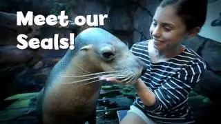 SEA LIFE Mooloolaba