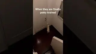 #funny #foryou #dogmom #dogshorts #dog #youtubeshorts #shortsviral #shorts #fyp #viral #