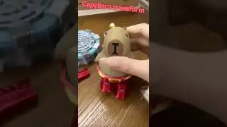 Capybara transform