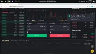 Pumpbot Pump and Dump