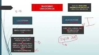 sangre 2.      #Morfofunción   #Propedeutico #medicina   #Umss