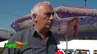 Stojan Milosević - Stole  iz Medveđe kod Despotovca - VURDIJADA 2019. -  Agrojug