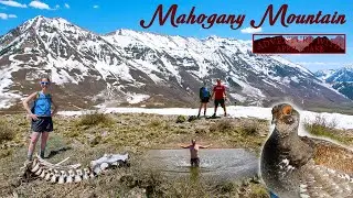 Mahogany Mountain | May 2025