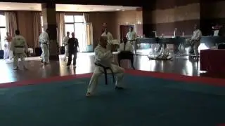 Pierre Scanzano Mens Hardstyle Forms 2009 WKA World Championship