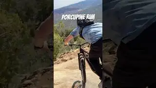 Ride or walk? Who else has given this a try? #mtb #shorts #mtblife #moab #mountainbike #industrynine