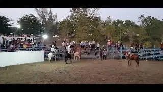 jaripeo chapopote chico chlama veracruz, 31 de diciembre 2021