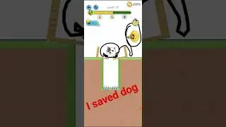 I saved dog#support #subscribe