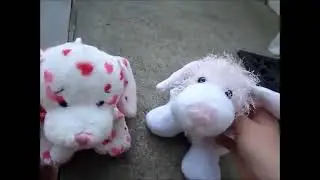 Webkinz Pool Party