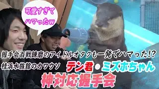 【桂浜水族館】カワウソが可愛すぎる…コツメカワウソのテン君・ミズホちゃんとの握手会