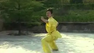 Wushu Forms - First Long Fist