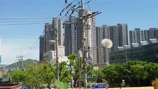 Soon summer. Another season. Happy city. Roadside trees are also smiling. Seoul Korea.