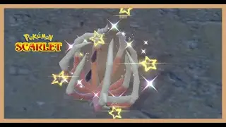 Shiny Bramblin in Pokemon Scarlet and Violet